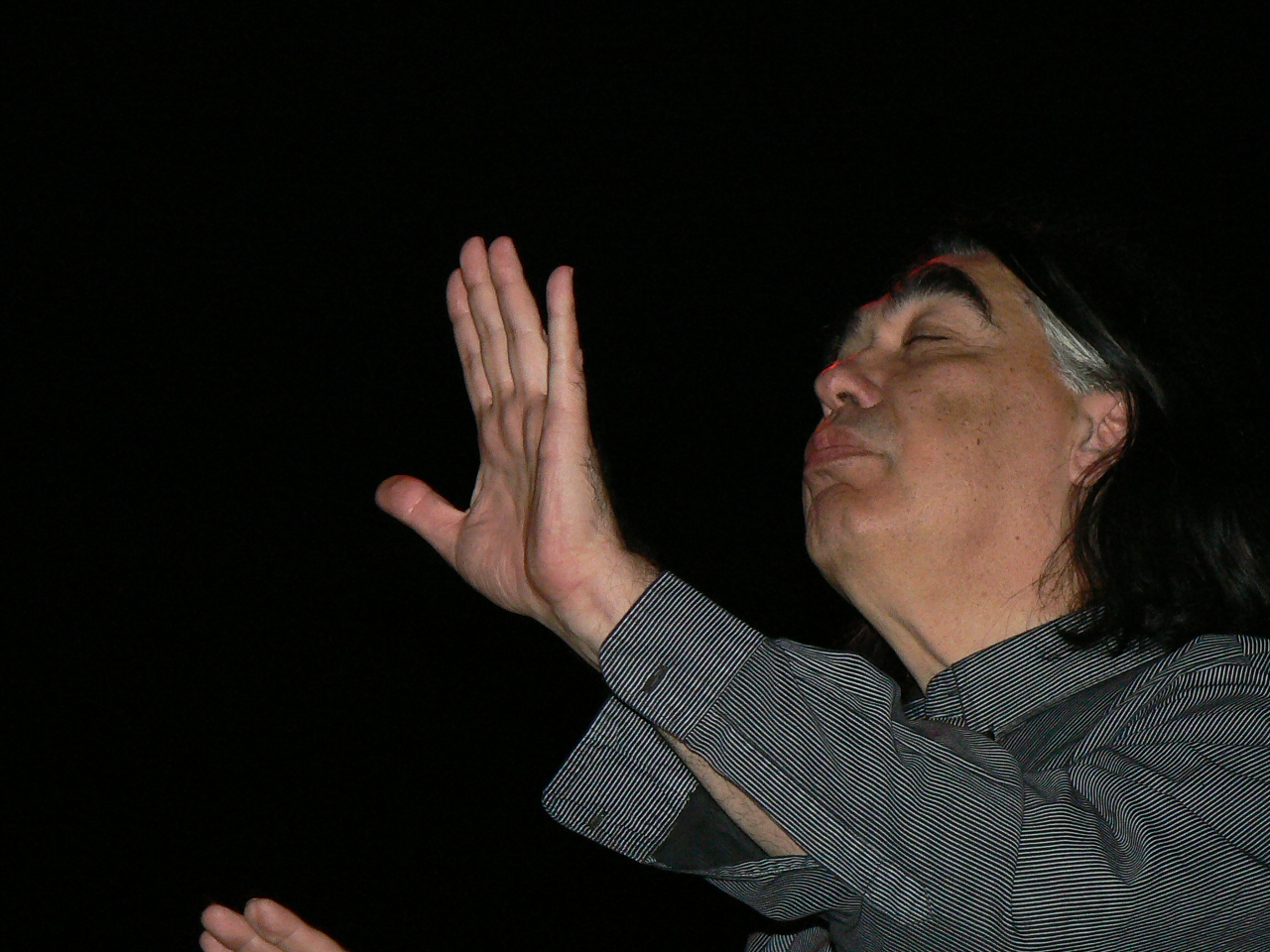 Siberfest Iancu Dumitrescu în concert Foto SPC